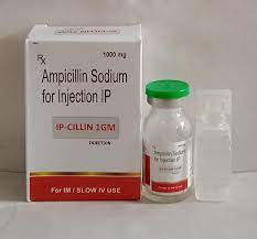 Ampicillin Injection