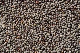 Poppy Seeds