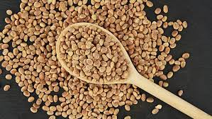 Buchanania Lanzan Seed