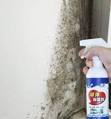 Mold Cleaners