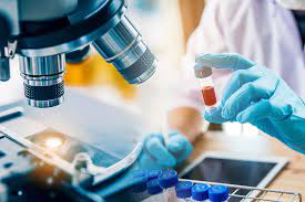 Pharmaceutical Testing Services