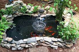 Fish Pond