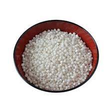 Sago Seeds