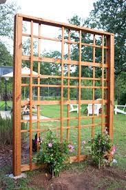 Garden Trellis