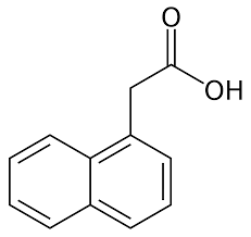 Naphthalene Acetic Acid