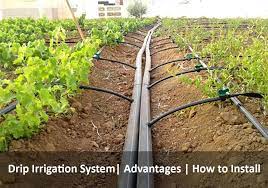 Drip Irrigation System