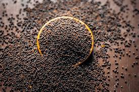 Organic Mustard Seeds