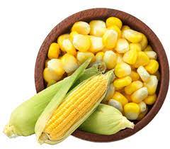 Maize
