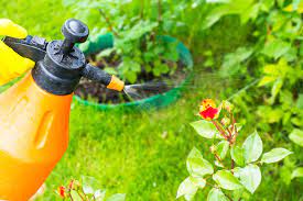 Garden Pest Control