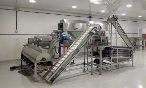 Cashew Nut Processing Plant