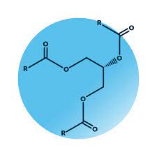 Glycerol Esters