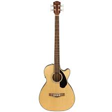 Acoustic Bass Guitar
