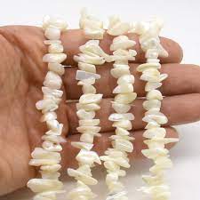 Shell Beads