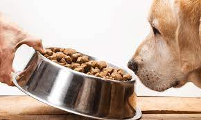 Feed Dogs
