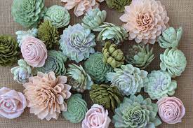 Sola Flowers
