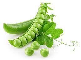 Organic Pea