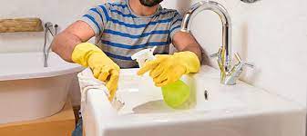 Toilet Cleaning Services