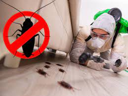 Cockroaches Pest Control Services