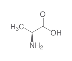 L Alanine