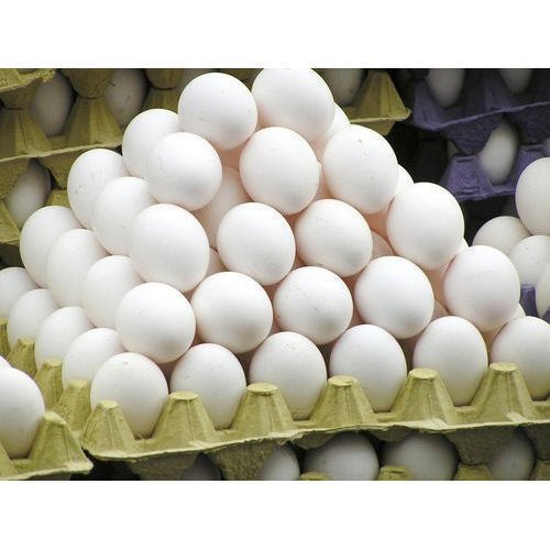 Egg Tray