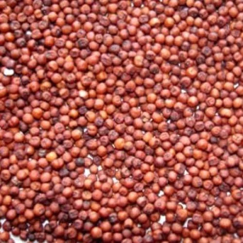 Red Millets