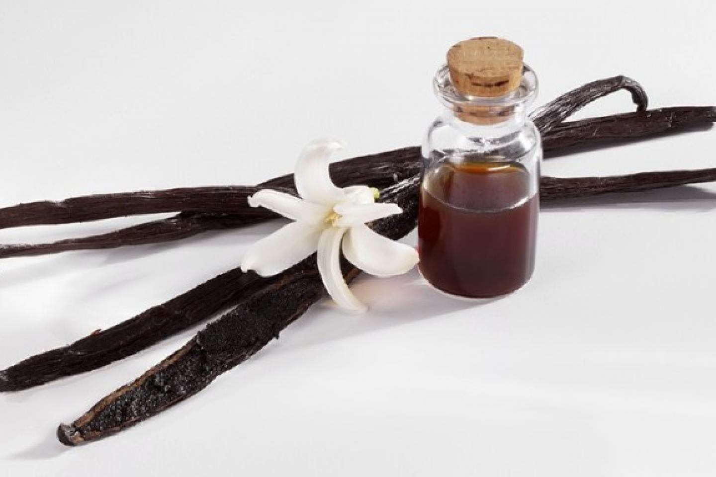 Flavouring Essence