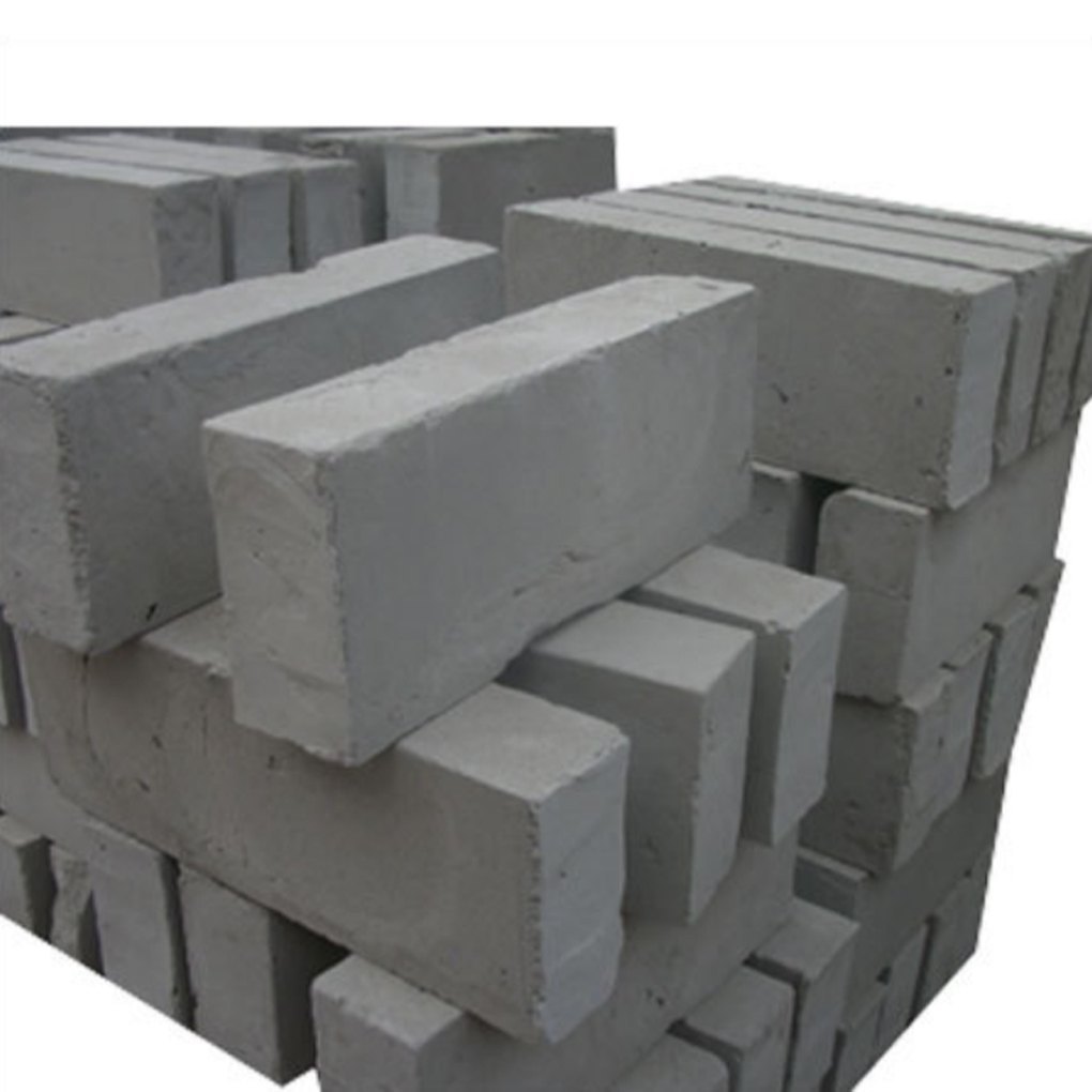 Fly Ash Brick