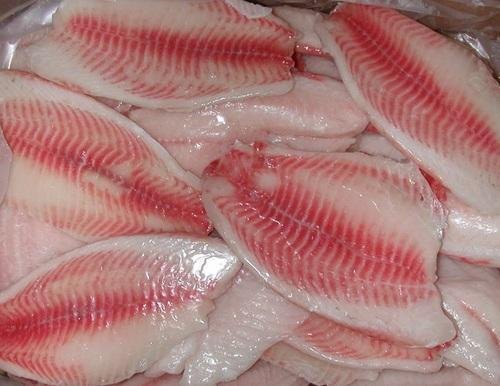 Frozen Tilapia Fillet