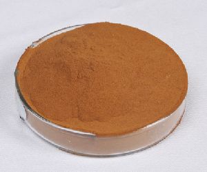 Fulvic Acids