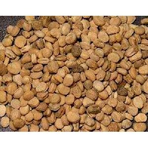 Ginger Seeds