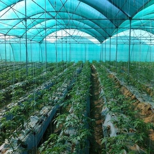Greenhouse Accessories