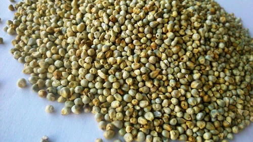 Green Millets