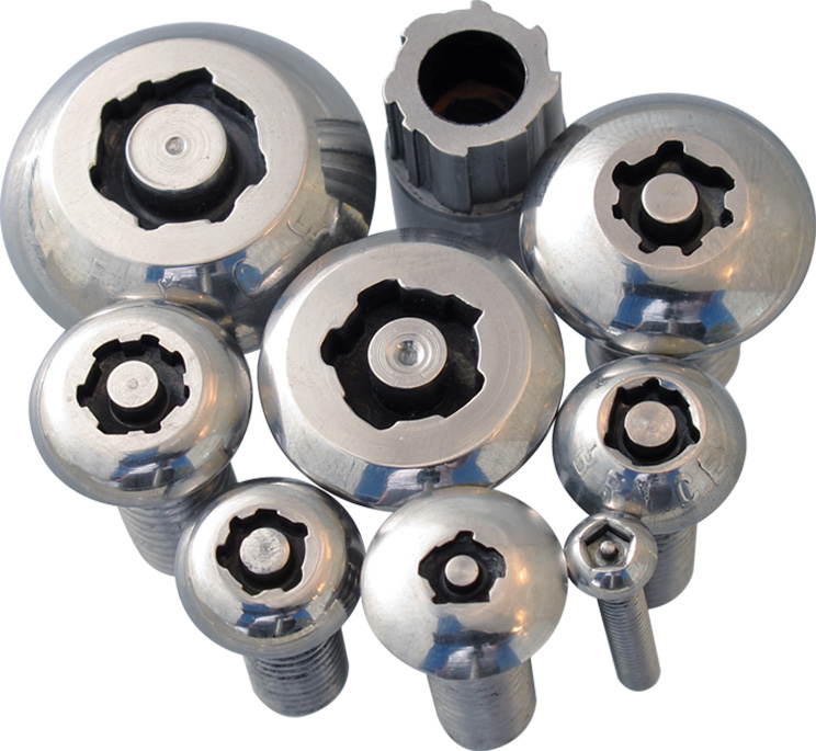 Security Bolts