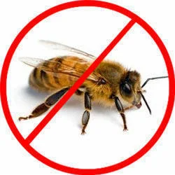 Bee Control Services