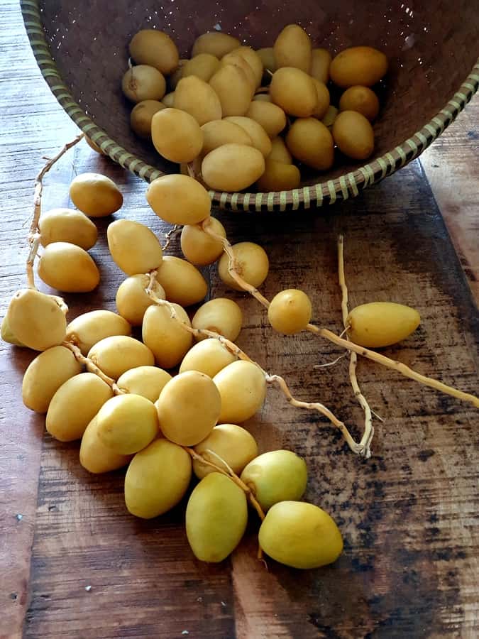 Fresh Dates