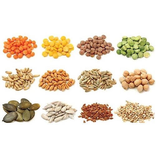 Vegetable Seeds