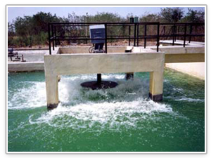 Fixed Aerators