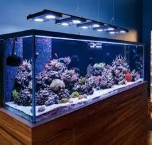 Marine Aquarium