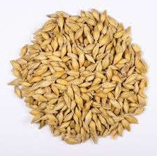Barley Seeds