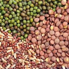 Hybrid Vegetable Seeds