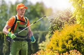 Pyrethroid Insecticide