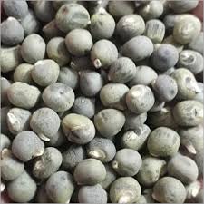 Vegetable Seeds