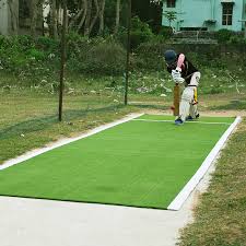 Artificial Cricket Pitch