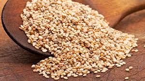 Oil Seeds
