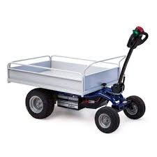 Motorized Trolley