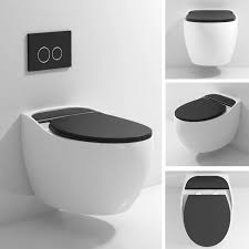 Wall Hung Toilet