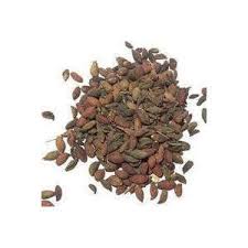 Zinnia Elegans Seeds