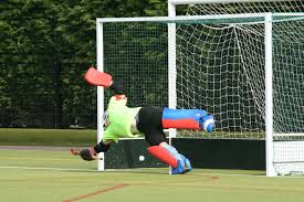 Field Hockey Goals