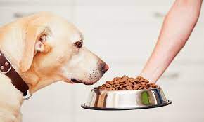 Pet Feed Supplement