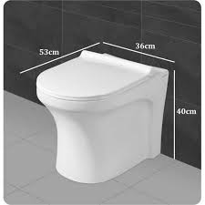 Floor Mounted Toilets